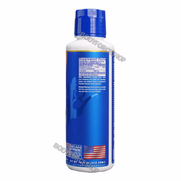 ال- کارنتین رونی کلمن 31 سروینگ  | RC L-Carnitine 31 SERVING - Image 2