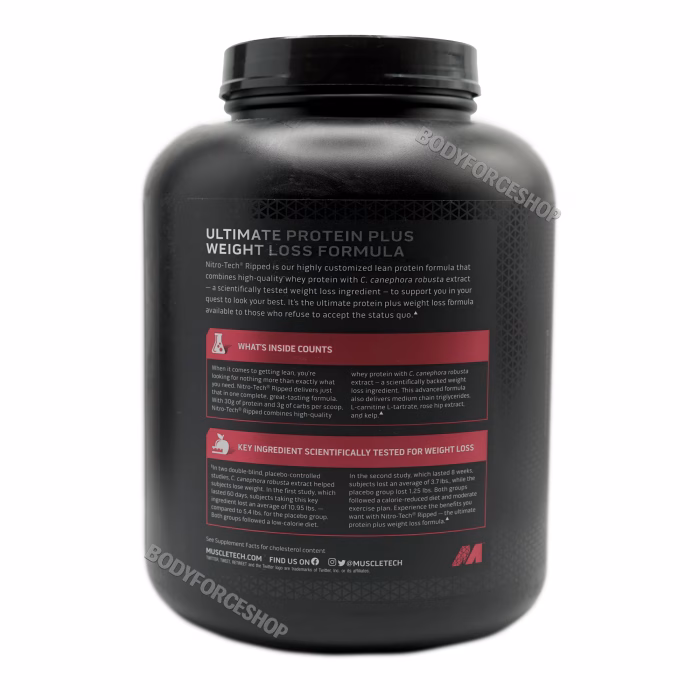 پروتئین وی گلد ماسل‌تک نیتروتک – 1.8 کیلوگرم | MuscleTech NitroTech Whey Gold Protein 1.8kg - Image 3