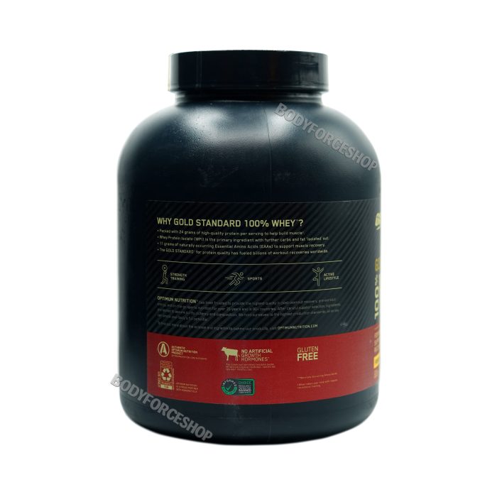 پروتئین وی گلد اپتیموم  2.3 کیلوگرم | ON optimum Nutrition whey gold 2/3kg - Image 2