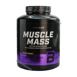 مس گینر بایوتک 4 کیلوگرم | BIOTECHUSA MUSCLE MASS 4KG