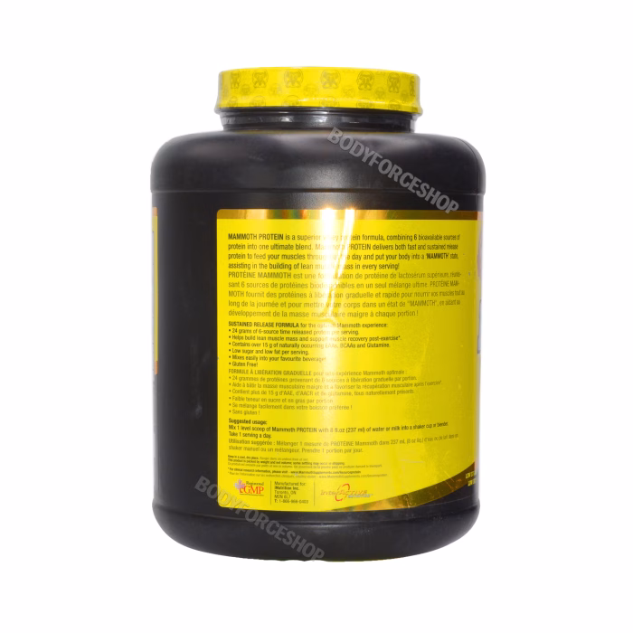 پروتئین وی ماموت | Mammoth Protein Powder – 2.27kg - Image 3