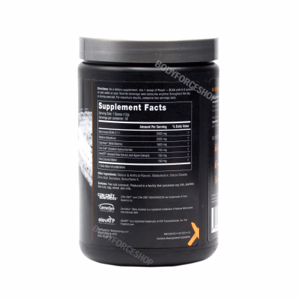 بی سی ای ای پاور بادی بیلدینگ | Bodybuilding Signature BCAA Power  / 30 Servings