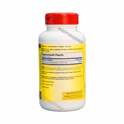 ویتامین B12 کرکلند دوز ۵۰۰۰ میکروگرم | Kirkland Signature Quick Dissolve B-12 5000 mcg