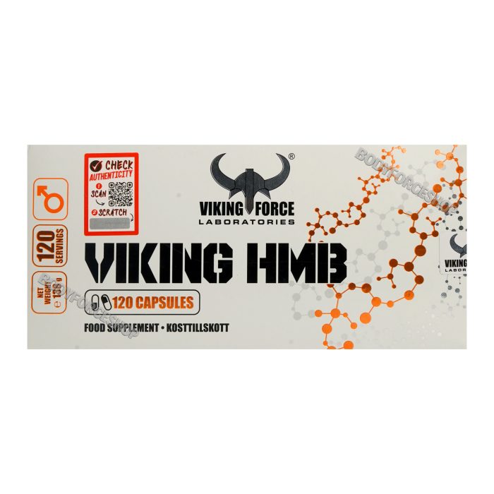 اچ‌ام‌بی وایکینگ فورس | Viking Force HMB