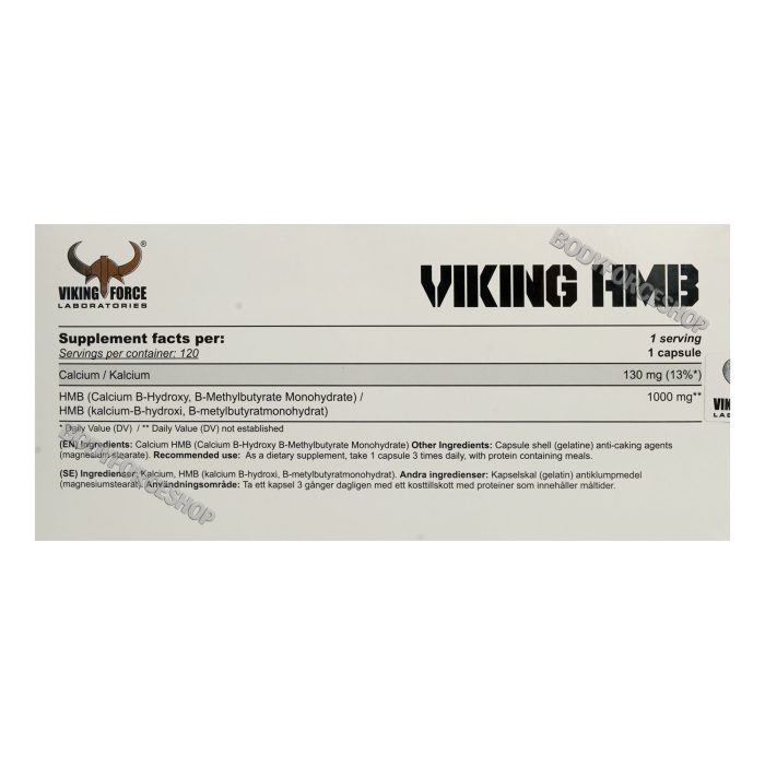 اچ‌ام‌بی وایکینگ فورس | Viking Force HMB - Image 2